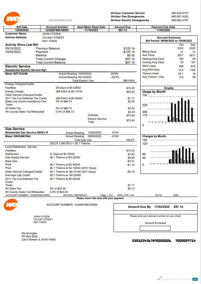 download download USA We utility bill template in Word and PDF format PDF template PDF template